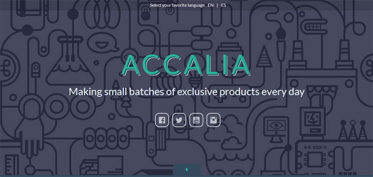 accalia-portfolio-one-page