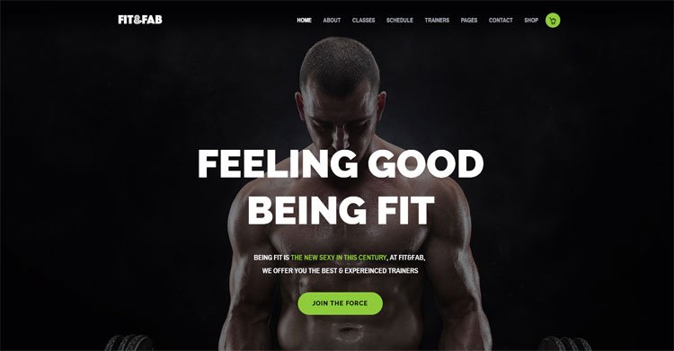 fit-fab-aerobic-gym-fitness-bootstrap-html5-template
