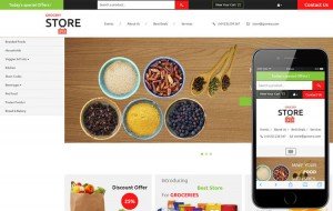 grocery-store-free-ecommerce-bootstrap-template