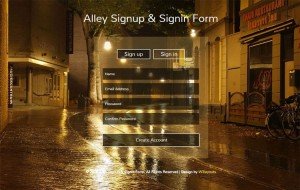 alley-signup-signin-form