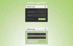 member-login-form