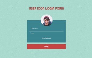 user-icon-login-form