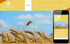 pycarp-agriculture-bootstrap-template