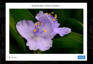 bootstrap-image-gallery