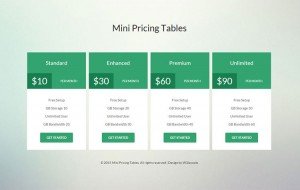 mini-pricing-table-responsive-template