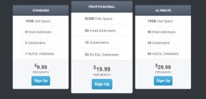 multiple-pricing-table