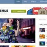 flick-wordpress-theme