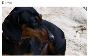 jquery-zoom-effect