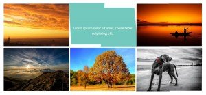 wordpress-hover-effects-pack