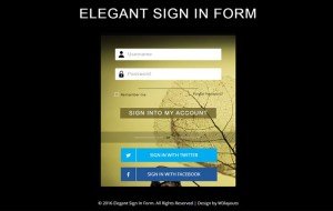 elegant-sign-in-form-template