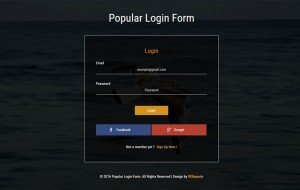 popular-login-form