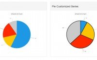 pie-chart-template