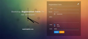 bootstrap-registration-form-.net-developers