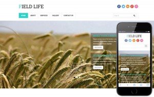 field-life-bootstrap-template